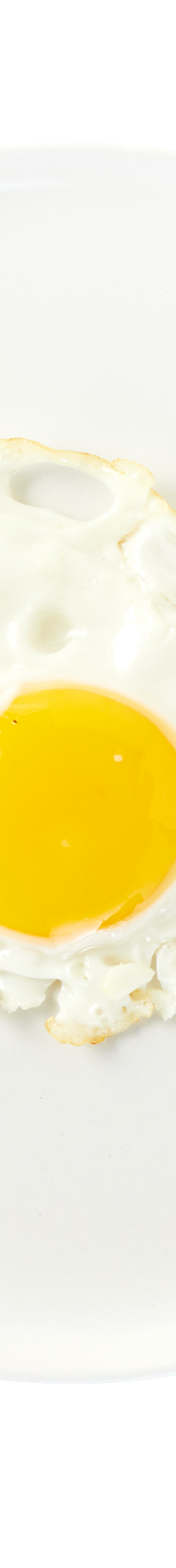 Fried Egg